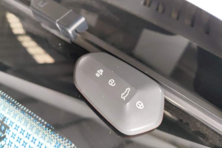 Used Livan Livan 7 2024 450km Executive Version
