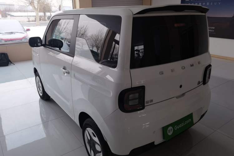 Used  Panda 2025 210 km – Yuanqi Bear
