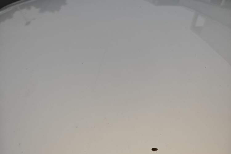 Used FORTHING S50 2021 Battery-Swapping Version