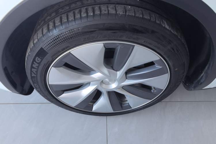 Used Tesla Model Y 2021 Standard Range Rear-Wheel Drive Version
