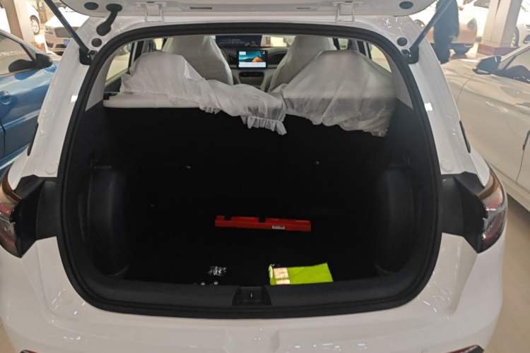 Used  Geome 2025 310km Youth Edition
