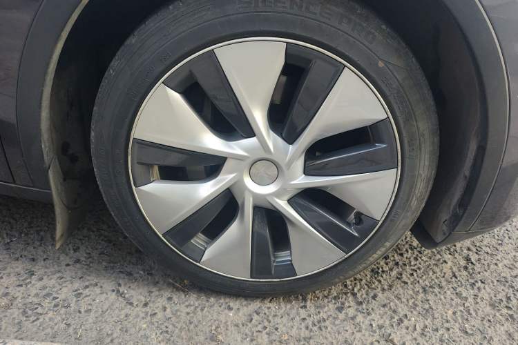 Used Tesla Model Y 2021 Long-Range All-Wheel-Drive Version