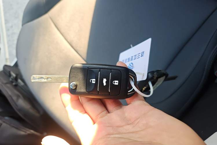 Used  Lumin 2025 205 km Xiangqin Version
