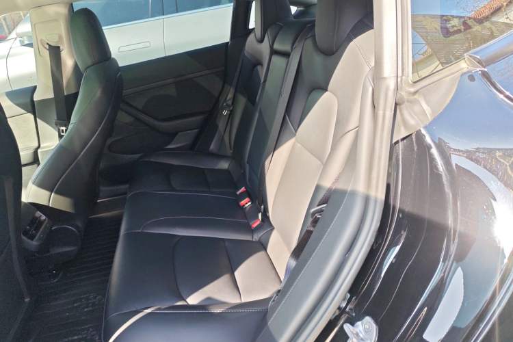 Used Tesla Model 3 2022 Rear-Wheel-Drive Version
