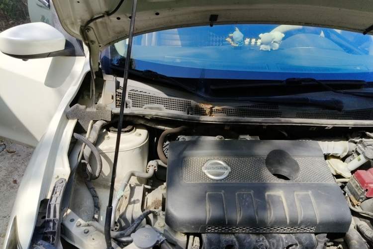 Used Nissan Tiida 2020 1.6L CVT Cool Edition
