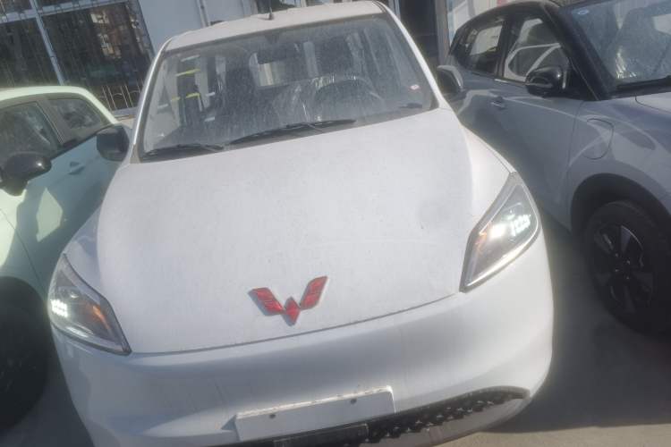 Used Wuling Hongguang New Energy 2024 All-Electric Model 300KM Practical Version
