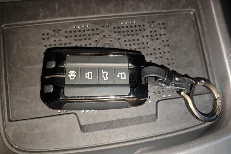 Used Tank 300 2024 2.0T Challenger
