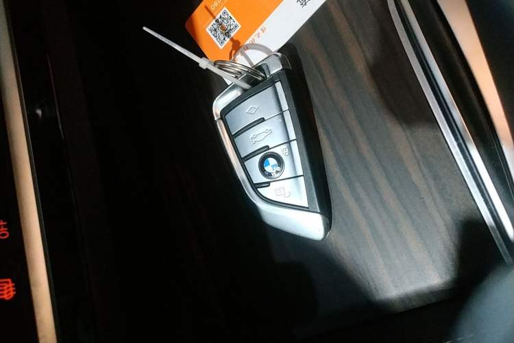 Used BMW 5 Series New Energy 2020 530Le Pioneer Edition