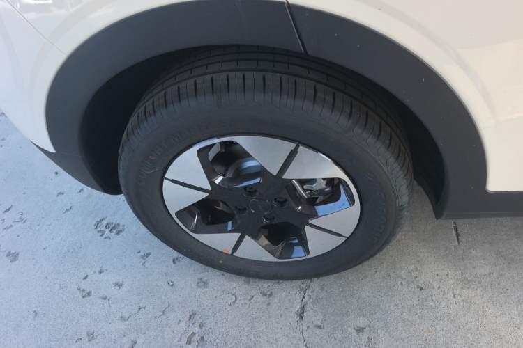 Used  Geome 2025 310km Dream Edition
