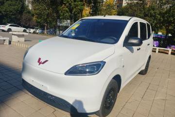 Used Wuling Hongguang New Energy 2024 All-Electric Model 300KM Practical Version