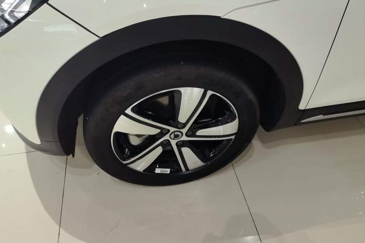 Used  #1 2024 Dynamic Standard Edition
