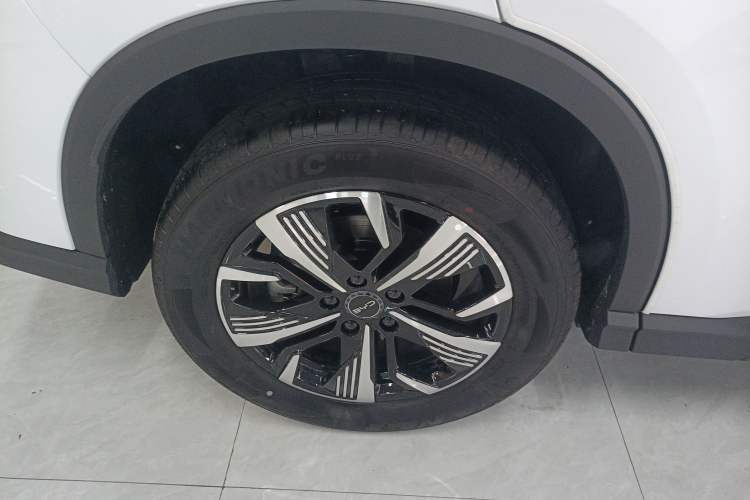 Used BYD Sealion 05 DM-i 2025 DM-i Smart Drive 75KM Luxury Model
