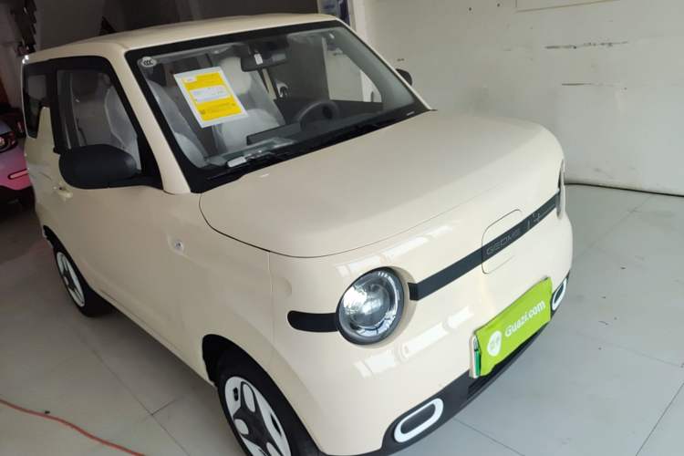 Used  Panda 2025 210 km – Yuanqi Bear
