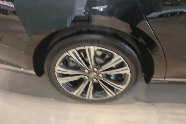 Used Hongqi H9 2024 2.0T Qixiang Private Style Edition
