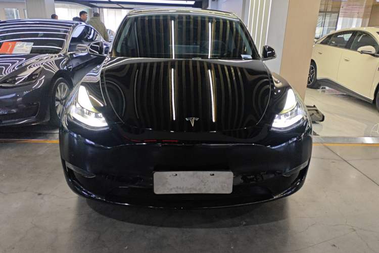 Used Tesla Model Y 2021 Standard Range Rear-Wheel Drive Version

