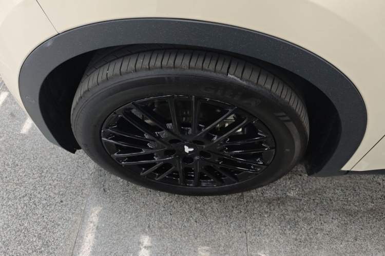 Used  firefly 2025 Illuminated Edition