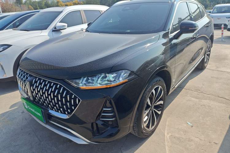 Used Wey Mocha 2021 2.0T Two-Wheel-Drive Ultra-Strong Version