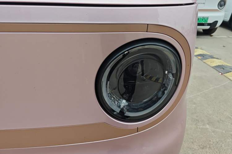 Used  Panda 2024 Panda Mini 200km Endurance Bear