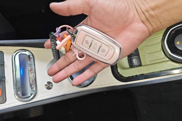 Used  Panda 2023 Panda Mini 120km Asian Games Edition
