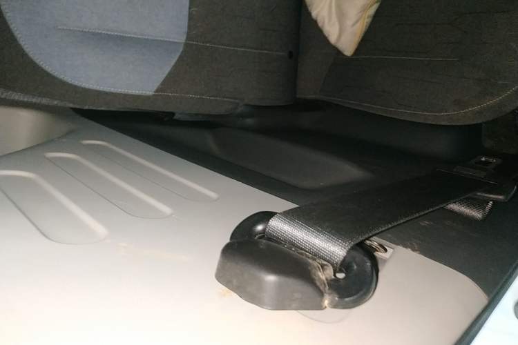 Used  Panda 2023 Panda Mini 200km Endurance Bear
