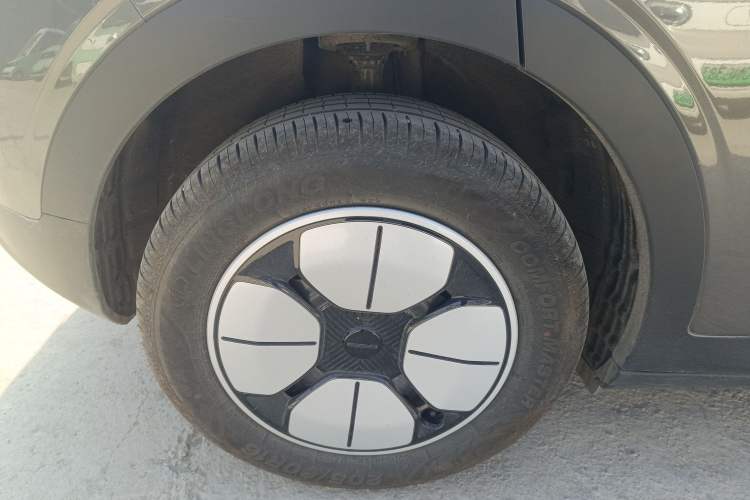 Used  Geome 2025 310km Youth Edition