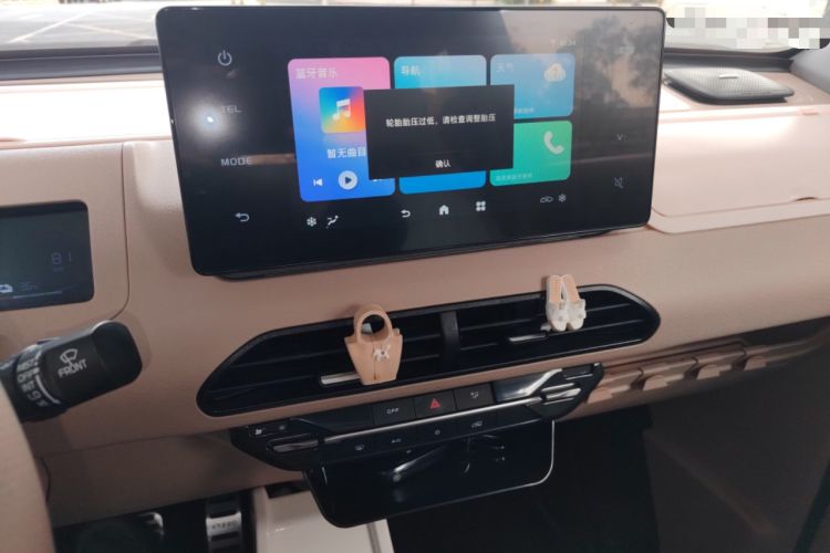 Used  Panda 2023 Panda Mini 200km Endurance Bear