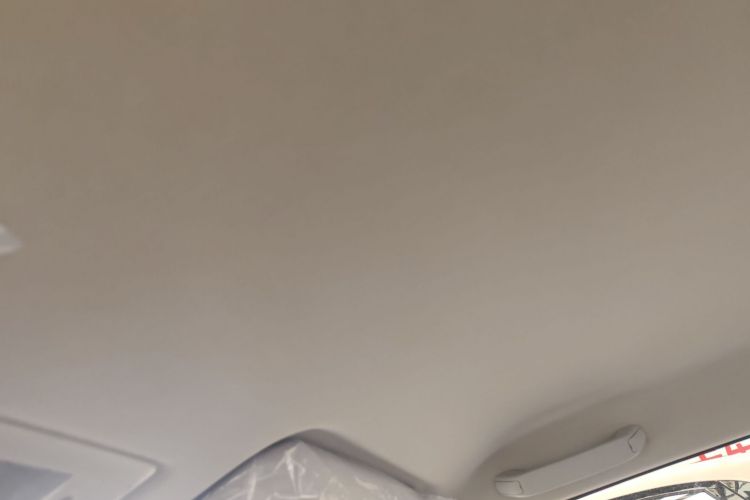 Used  Lumin 2025 205 km Xiangqin Version