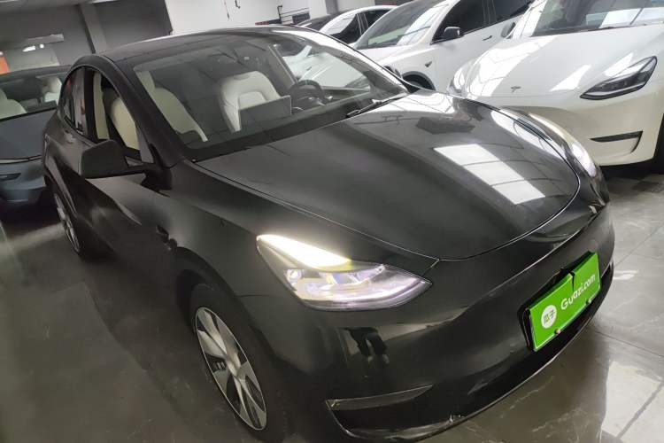 Used Tesla Model Y 2021 Standard Range Rear-Wheel Drive Version