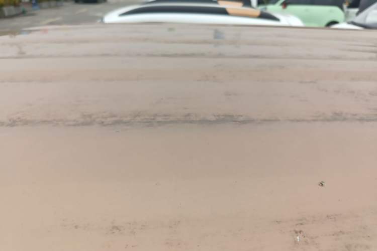 Used  Panda 2023 Panda Mini 200km Endurance Bear
