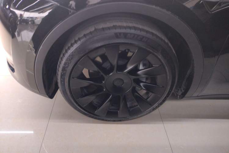 Used Tesla Model Y 2021 Standard Range Rear-Wheel Drive Version
