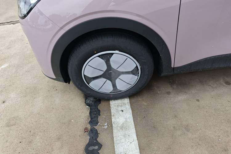 Used  Geome 2025 310km Youth Edition
