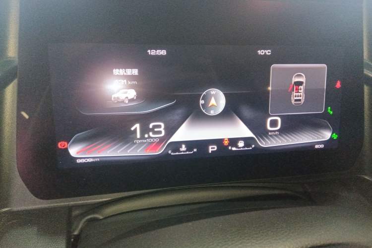 Used Haval DARGO 2024 2.0T DCT Chinese Rural Dog Edition
