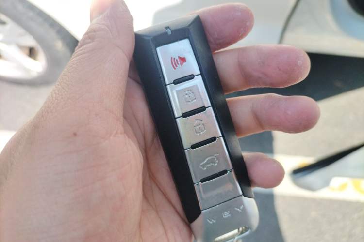 Used Wey VV5 2019 1.5T Two-Wheel Drive Color Pioneer
