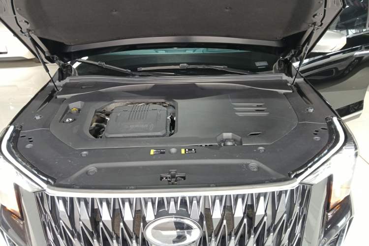 Used GAC Trumpchi GS8 2022 Dual-Engine Series 2.0TM Two-Wheel Drive Prestige Edition (7 Seats)
