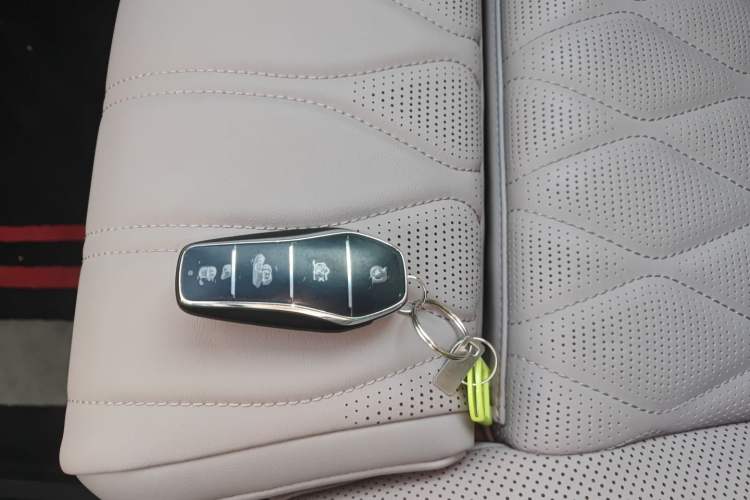 Used BYD Tang New Energy 2025 DM-i 115KM Flagship Model
