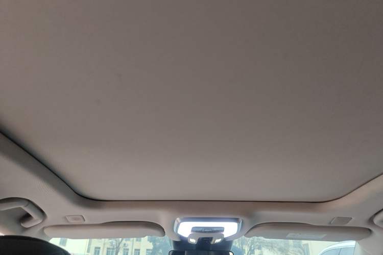 Used Hongqi H9 2020 2.0T Smart Connect Flagship Edition