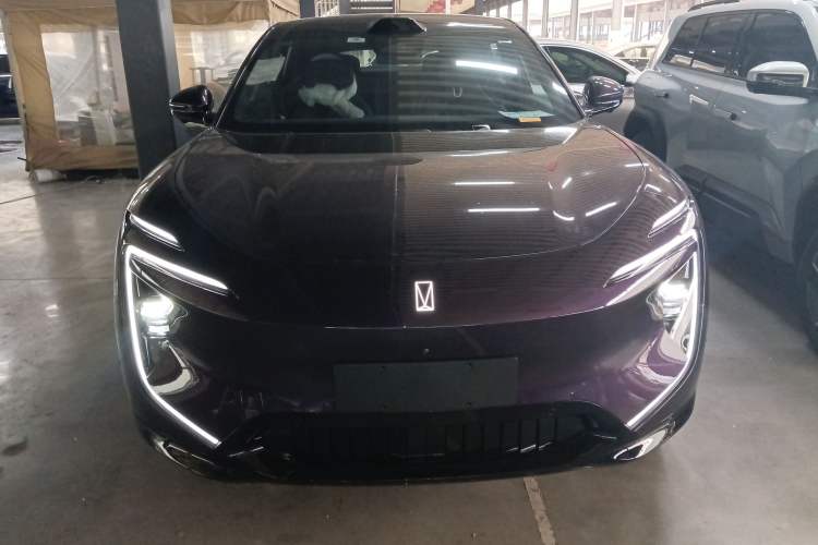 Used  07 2024 Max Pure Electric Edition
