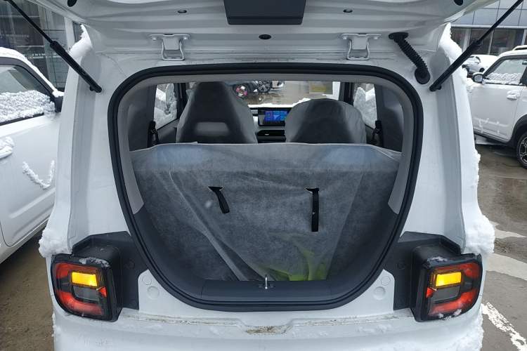 Used  Panda 2024 Panda Mini 200km Endurance Bear
