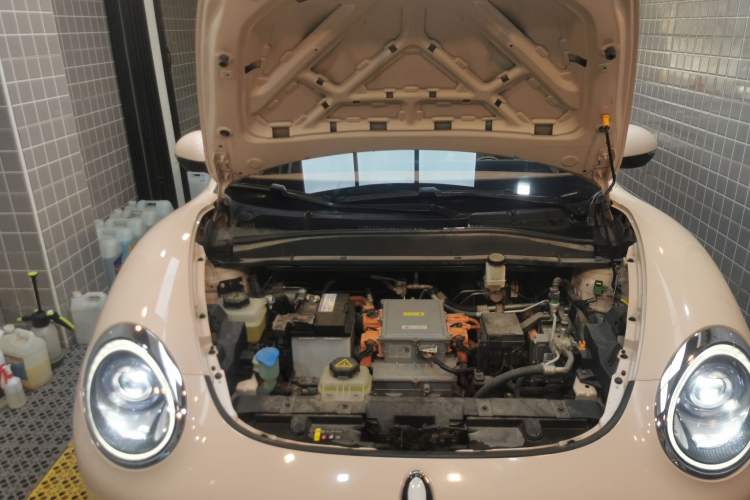 Used ORA Good Cat 2021 400km Standard Range Business Edition Lithium-Ion Battery
