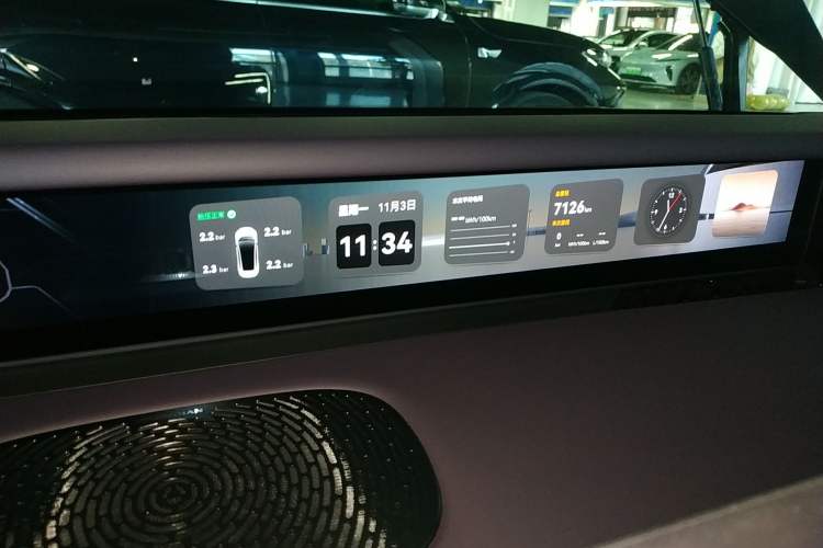 Used  06 2025 Max Extended-Range Edition
