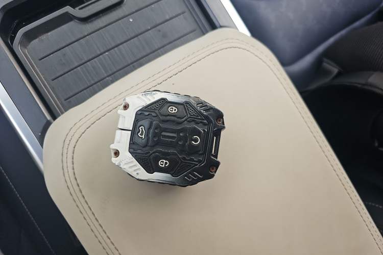 Used  Shanhai T2 2024 C-DM 208KM Mountain & Wilderness Edition
