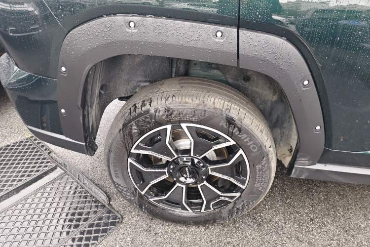 Used Haval H Dog New Energy 
