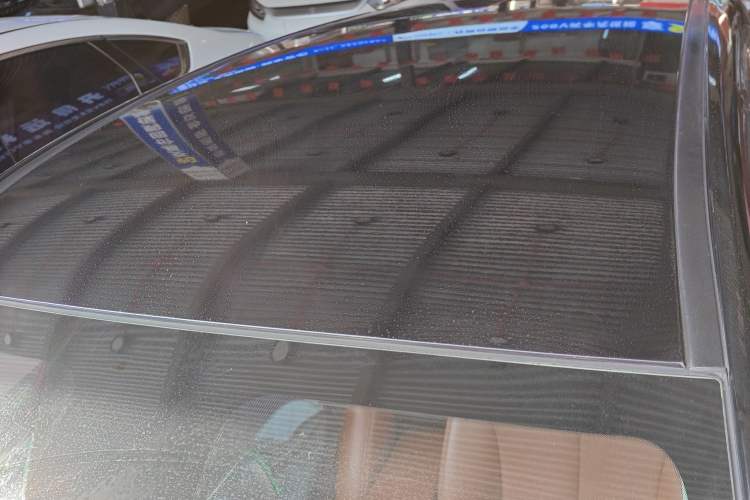 Used NETA V 2021 Witch Edition
