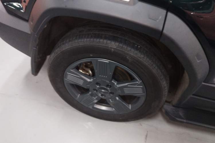 Used  03 2024 501km Two-Wheel Drive Long-Range Version