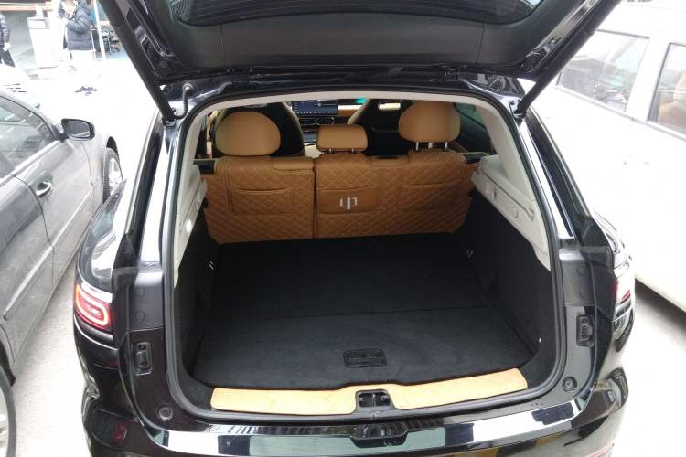 Used Leapmotor C11 2024 Range-Extended 300 Luxury Edition
