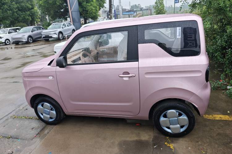 Used  Panda 2024 Panda Mini 200km Endurance Bear
