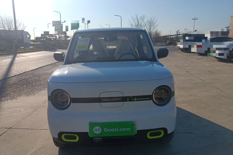 Used  Panda 2025 210 km – Yuanqi Bear