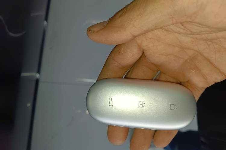 Used Li Auto L8 2023 Pro Model
