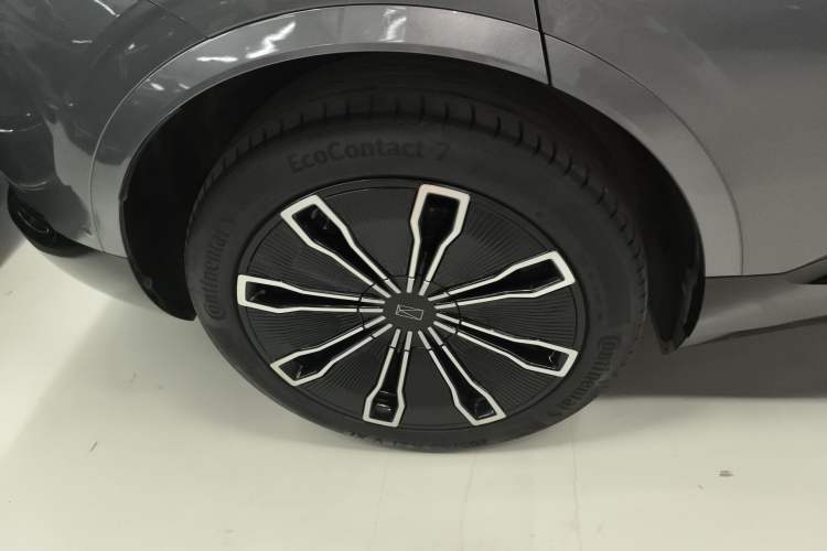 Used  07 2024 Max Extended-Range Edition
