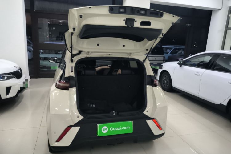 Used BYD Seagull 2023 Flying Edition
